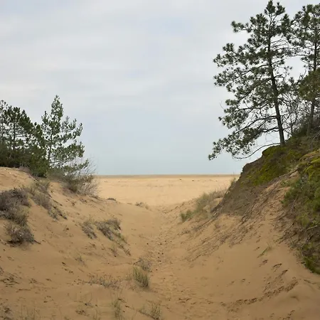 アパート Cozy Escape On The Seafront Of Lignano